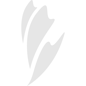 A stylized flame logo in a very pale gray color.