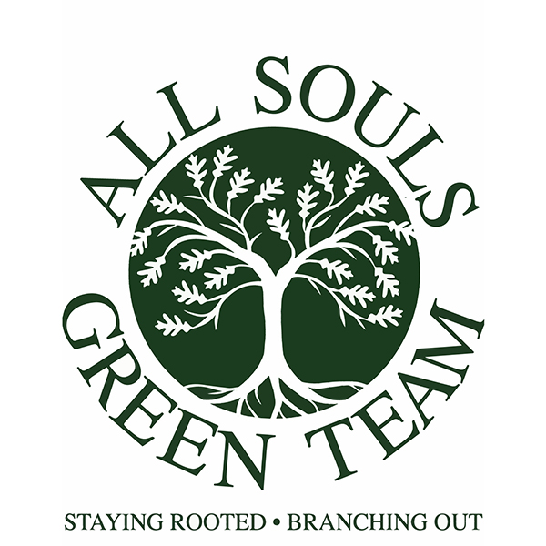 All Souls Green Team Logo with the slogan Staying Rooted, Branching Out